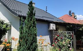 Lenart House 1